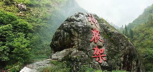电影《鸽子起舞》明日在央视电影频道播出