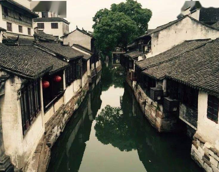 中俄的良苦用心，塔利班一点都不领情，没给俄罗斯留半点情面