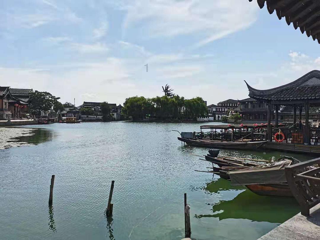 动物帮帮忙保卫家园